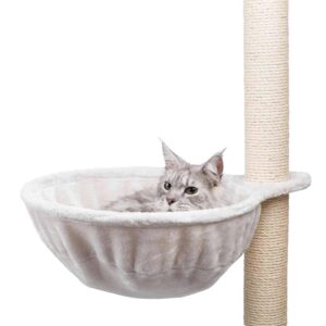 rascadores para gatos