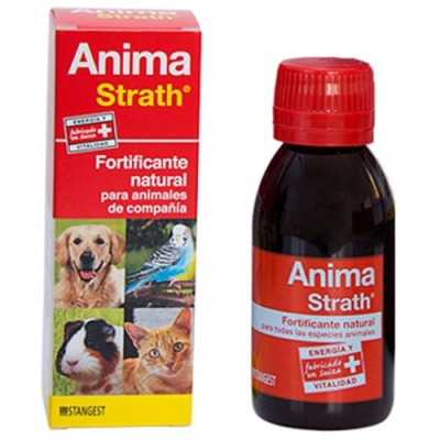 Anima-Strath