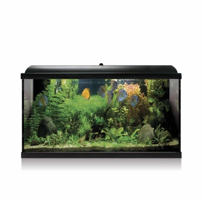 Kit Acuario aqualed pro 100