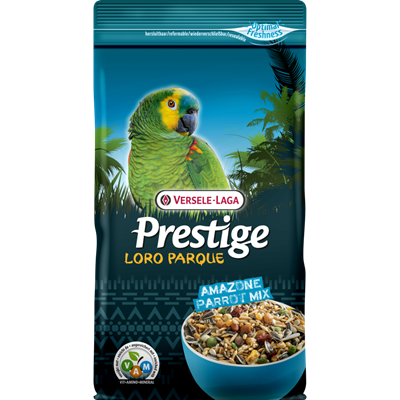 Verse-laga Amazonas loro
