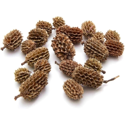 Piña Casuarina 50 gr