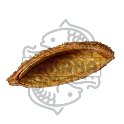 Cascara Bolster 1un