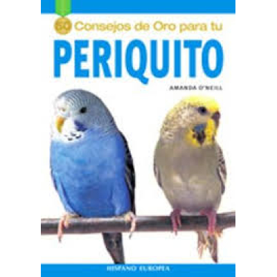50 Consejos de Oro Para Tu Periquito