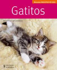 Gatitos: Manuales Mascotas en Casa