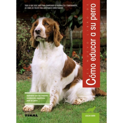 Como Educar A Su Perro