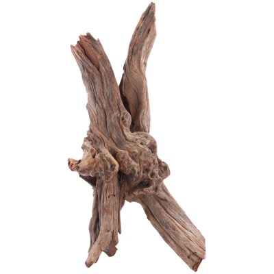 Sera Drift Wood M 25 - 40 cm