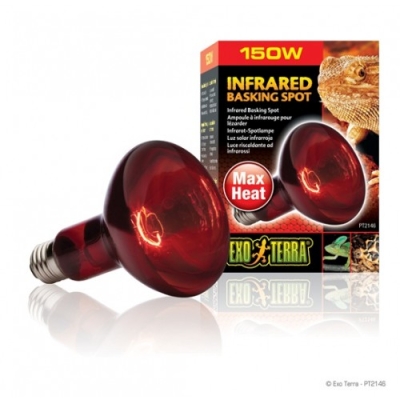 Exo terra heat glo infra-rojo noct 150W