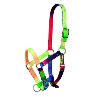 Cabezada Multicolor Potro