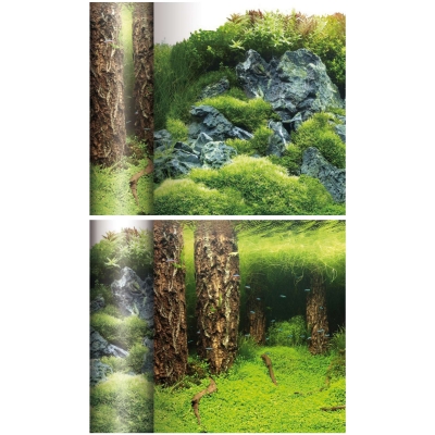 ICA Fondo Laguna Tronco / Monte 60cm x 1 metro