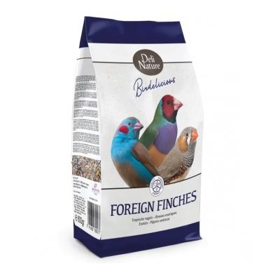 Birdelicious Pájaros Tropicales 800gr – alimento natural para aves tropicales