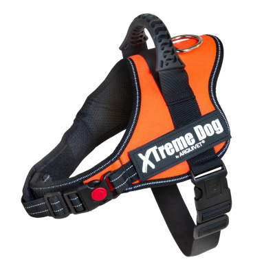 ARQUIVET Arnés Xtreme Dog Naranja Neón M (61-81cm)