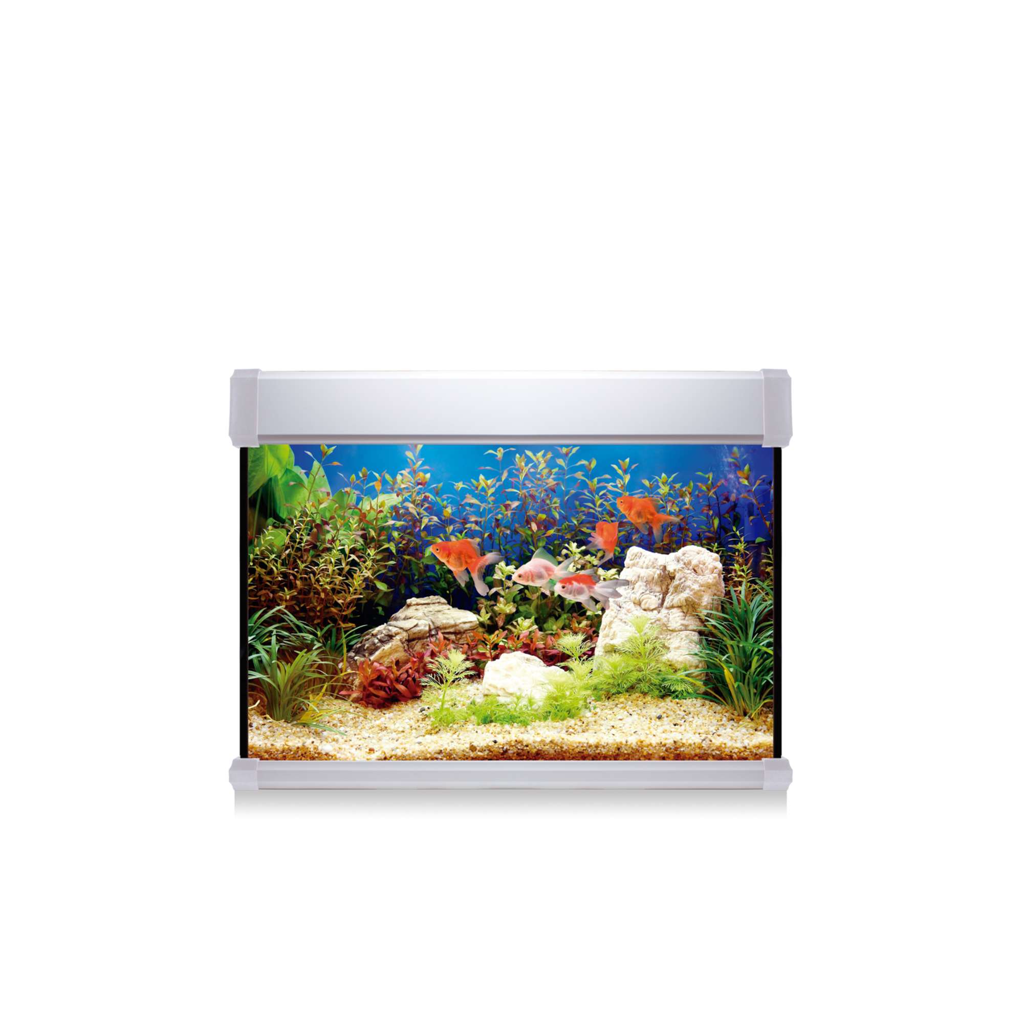 Acuario Ica 100 litros