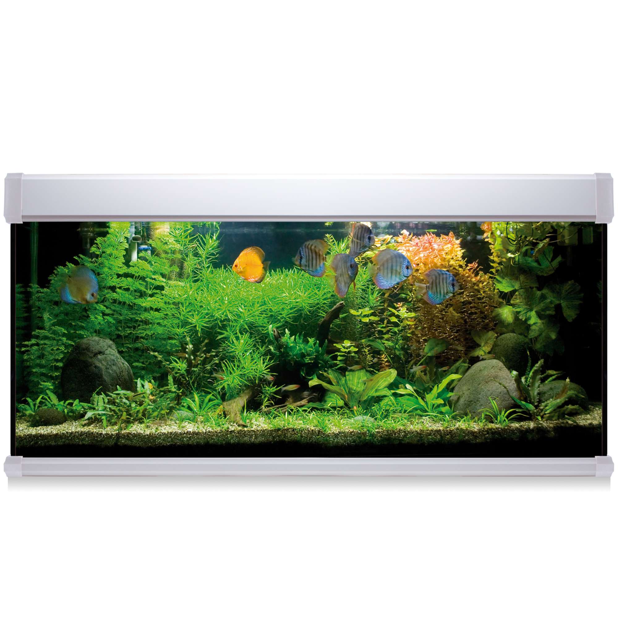 Acuario Ica 240 litros