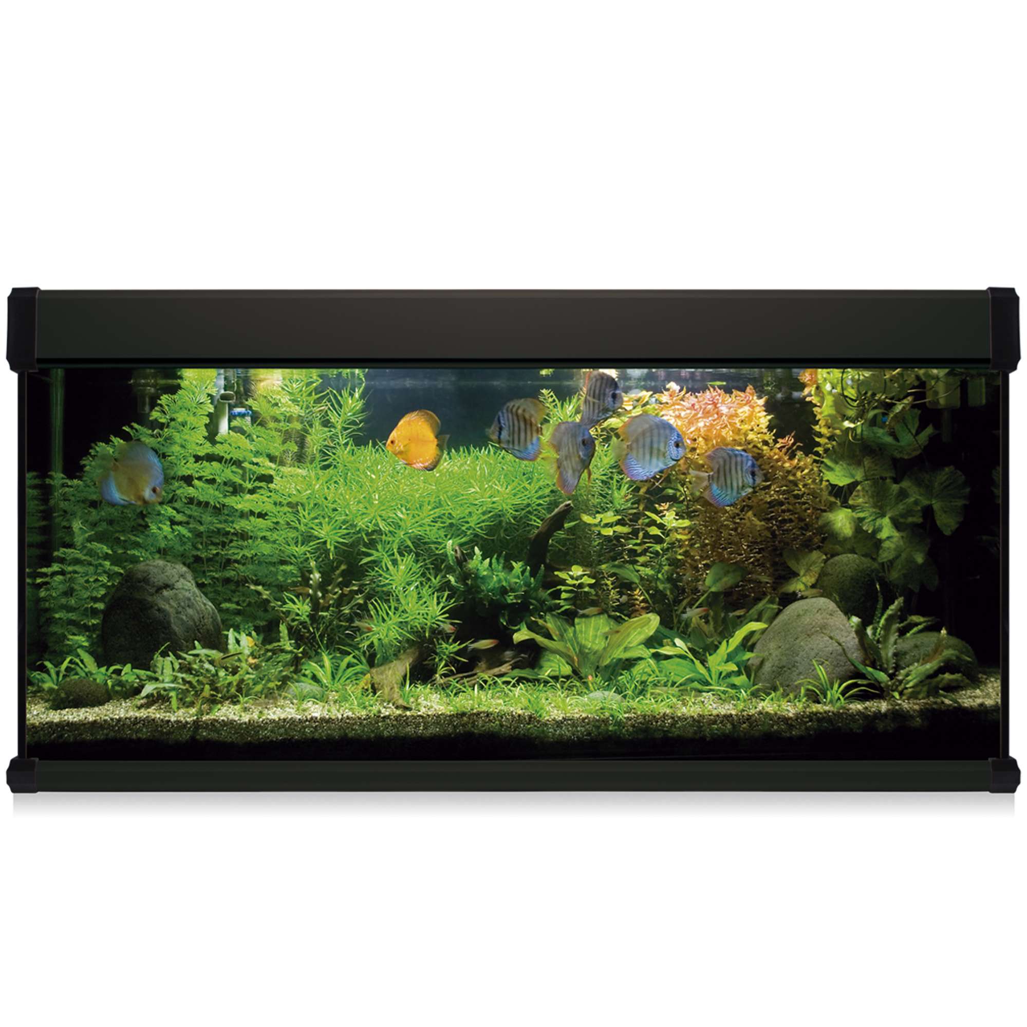 Acuario Ica 200 litros