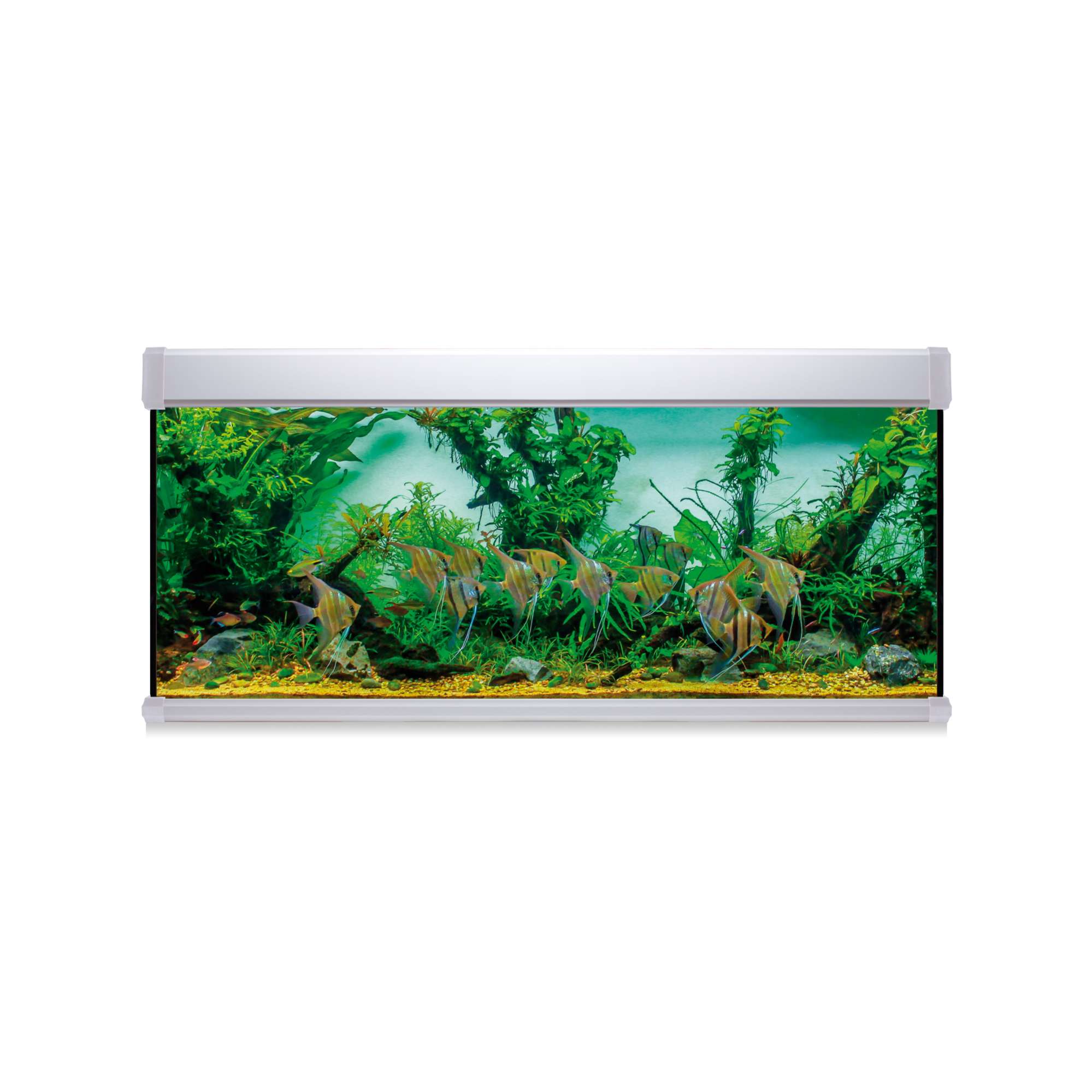 Acuario Ica 450 litros