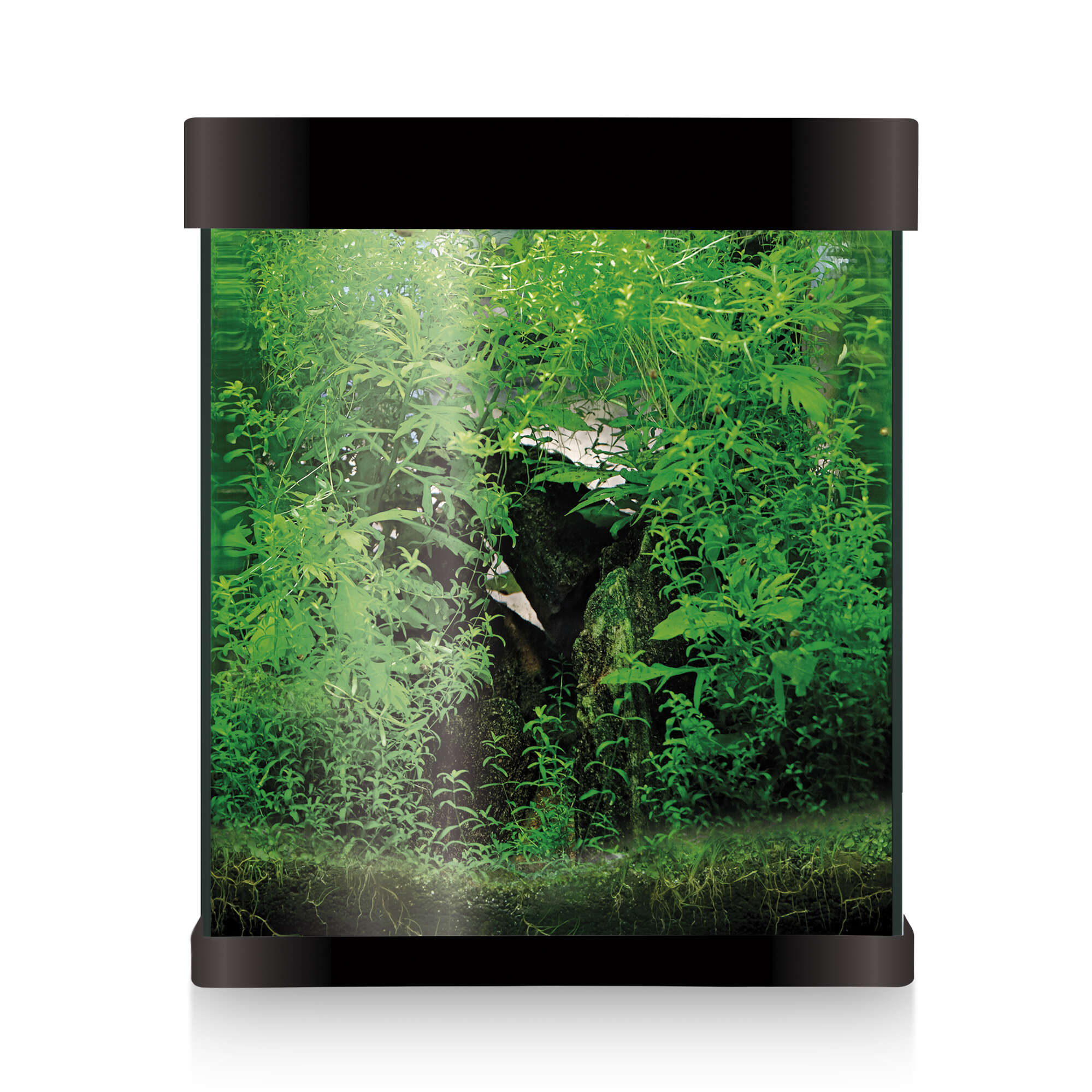 Acuario Ica 20 litros