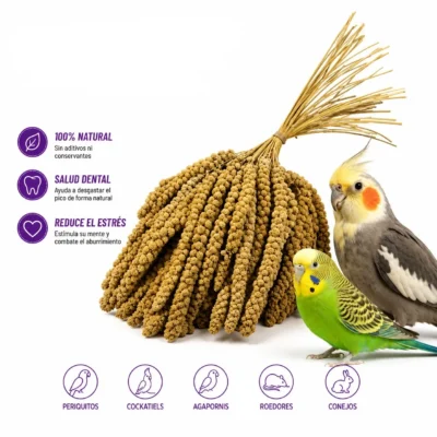 CHACON Mijo en Rama Premium Selección espigas naturales de mijo para aves